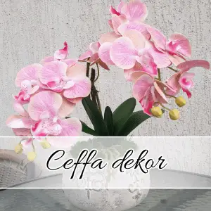 Ceffa-dekor